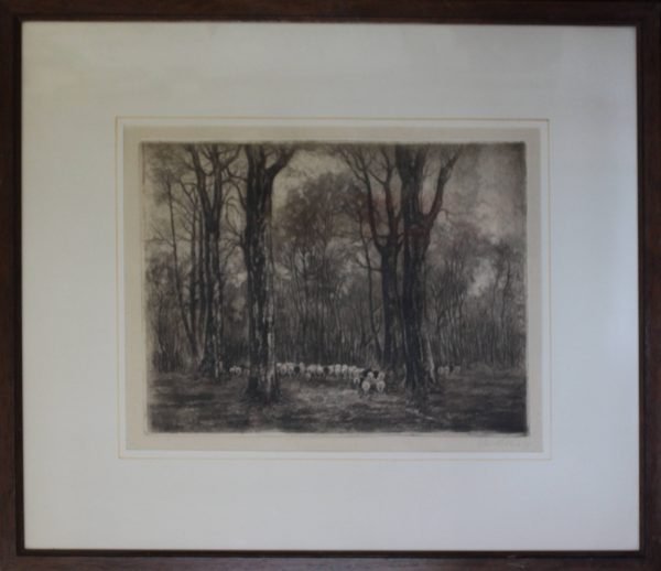 quadro, gregge nel bosco