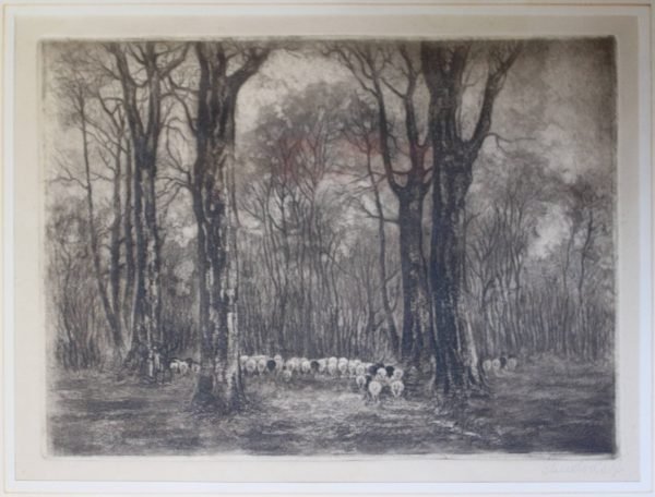 quadro, gregge nel bosco - immagine 2