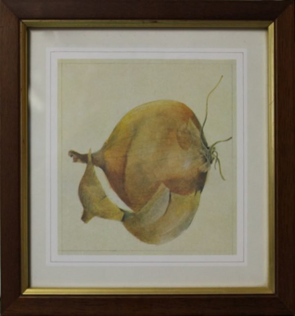 quadro, cipolla - SERIE ALIMENTI B