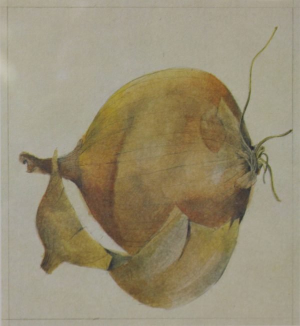 quadro, cipolla - SERIE ALIMENTI B - immagine 2