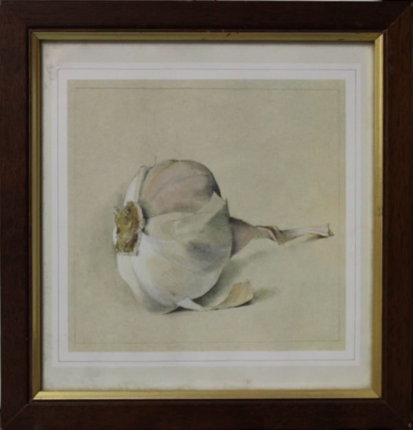quadro, aglio - SERIE ALIMENTI A