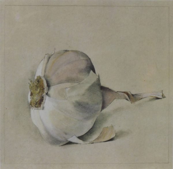 quadro, aglio - SERIE ALIMENTI A - immagine 2