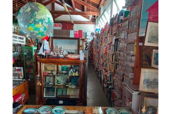 Panoramica MERCATINO - immagine 18