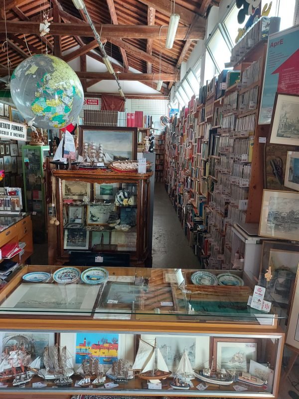Panoramica MERCATINO - immagine 10