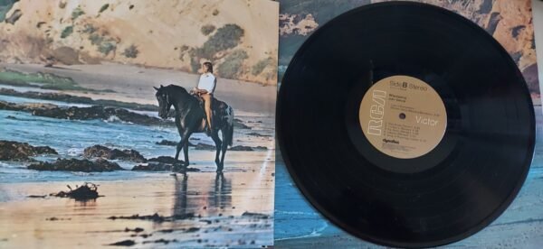 John Denver :  Windsong   (33 giri) - immagine 4